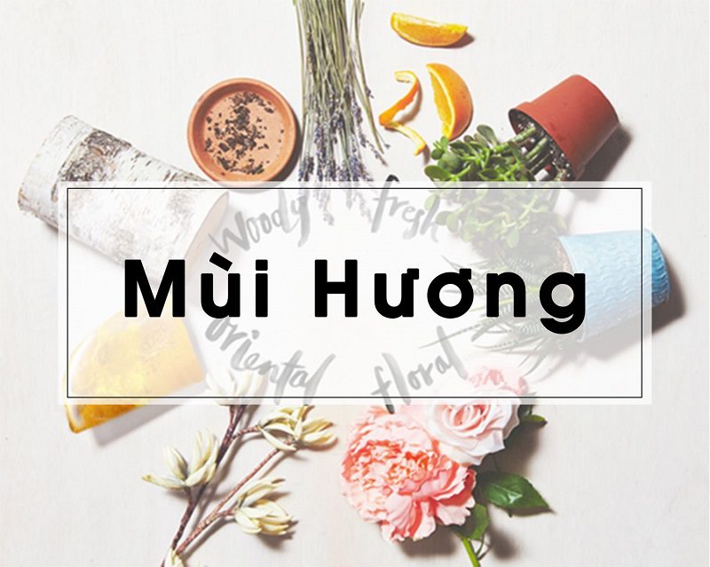 Các loại mùi hương